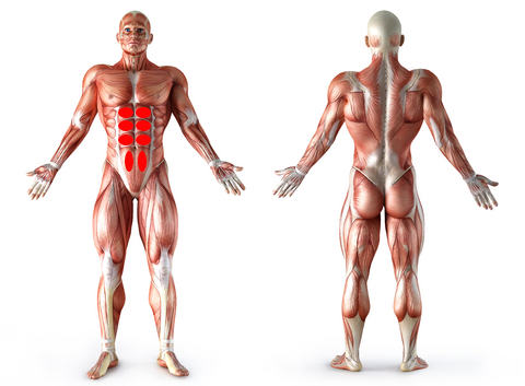 Building a Better Me