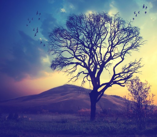 near_the_tree_by_tomatokisses